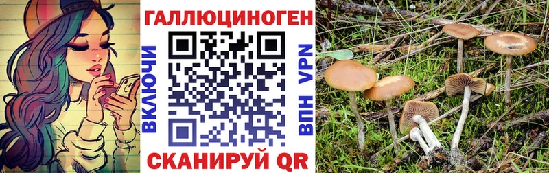 купить наркотики сайты  блэк спрут ССЫЛКА  Псилоцибиновые грибы прущие грибы  Кызыл 